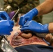 U.S. Sailors with 1st Medical Battalion Participate In a MCCRE