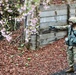 Training Day Four, Five: Expert Soldier Badge Candidates Traverse Land Navigation