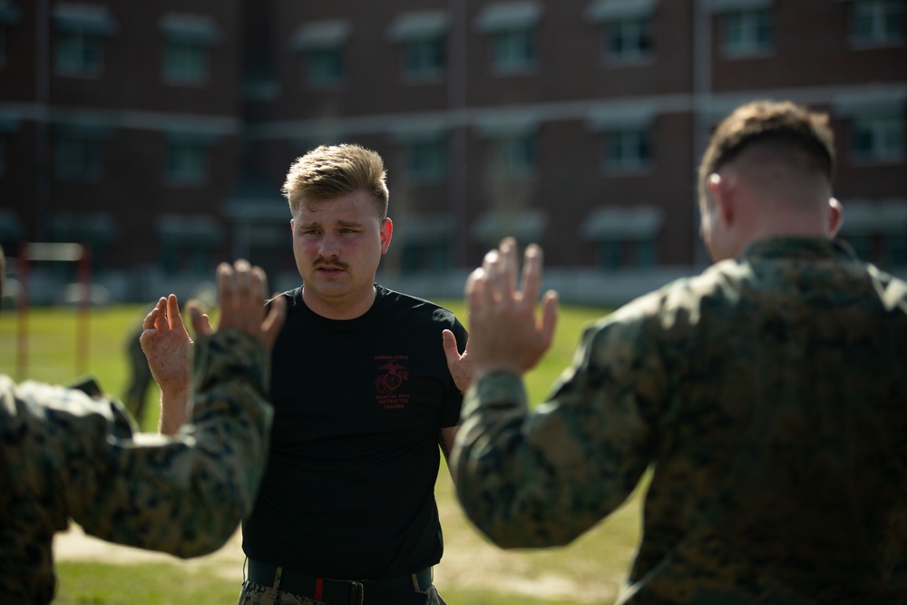 Becoming a Marine Corps Martial Arts Instructor