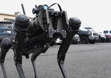 Robot Dog Reports for Duty