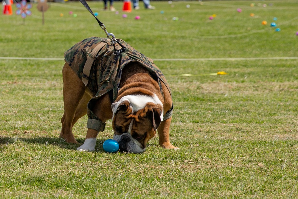 Weapons and Field Training Battalion Easter Celebration