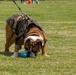 Weapons and Field Training Battalion Easter Celebration