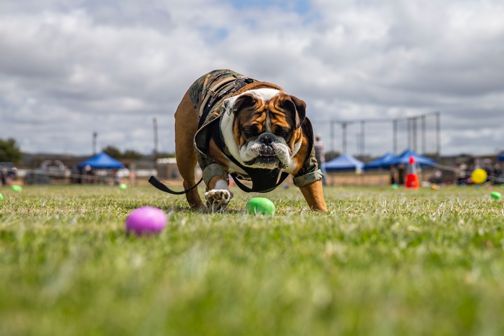 Weapons and Field Training Battalion Easter Celebration