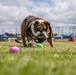 Weapons and Field Training Battalion Easter Celebration