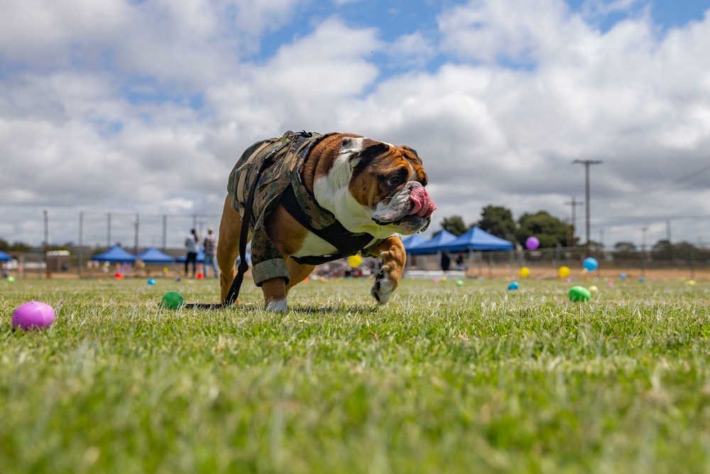 Weapons and Field Training Battalion Easter Celebration