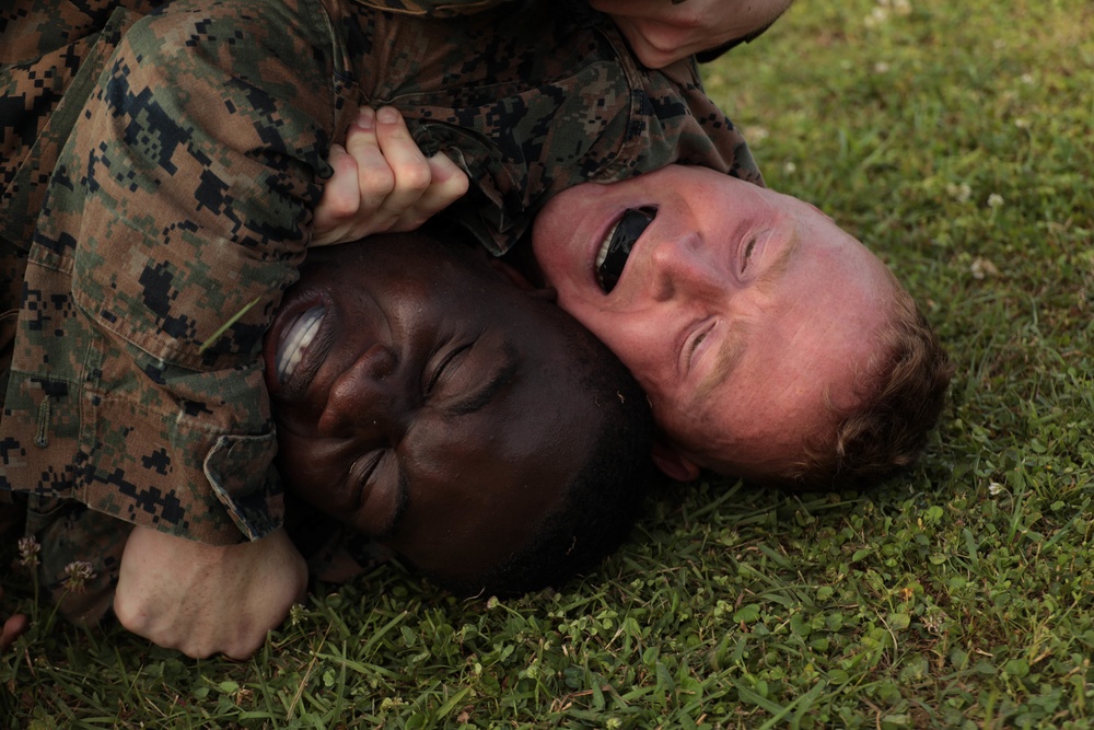 Marines with CLR-37 conduct combat conditioning