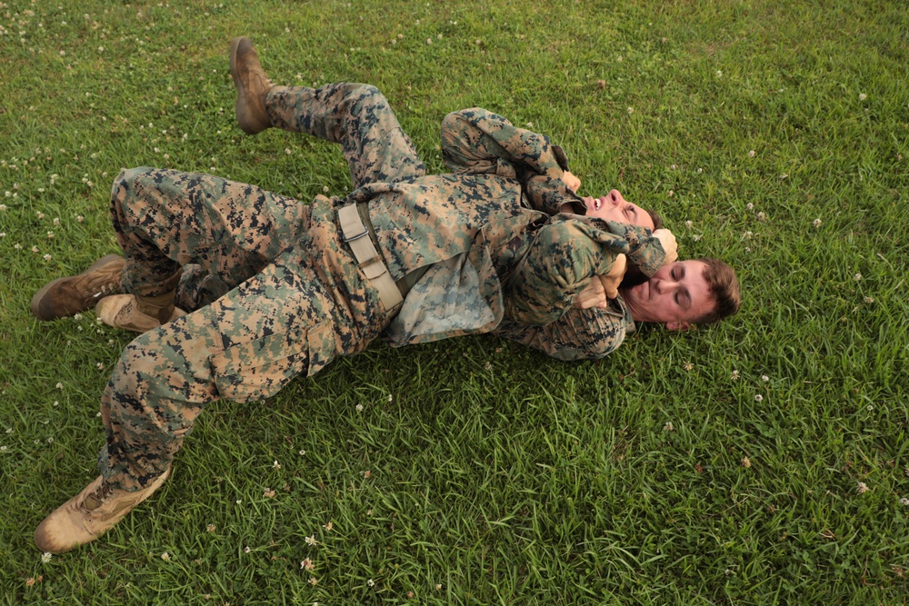 Marines with CLR-37 conduct combat conditioning