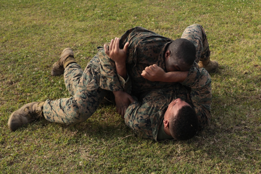 Marines with CLR-37 conduct combat conditioning