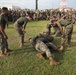 Marines with CLR-37 conduct combat conditioning