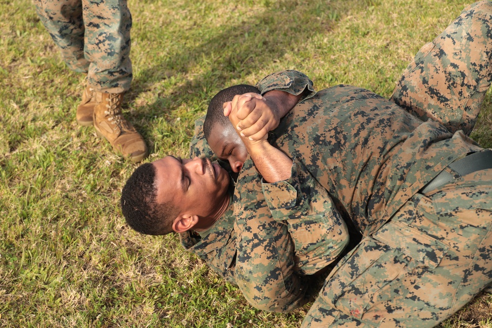 Marines with CLR-37 conduct combat conditioning