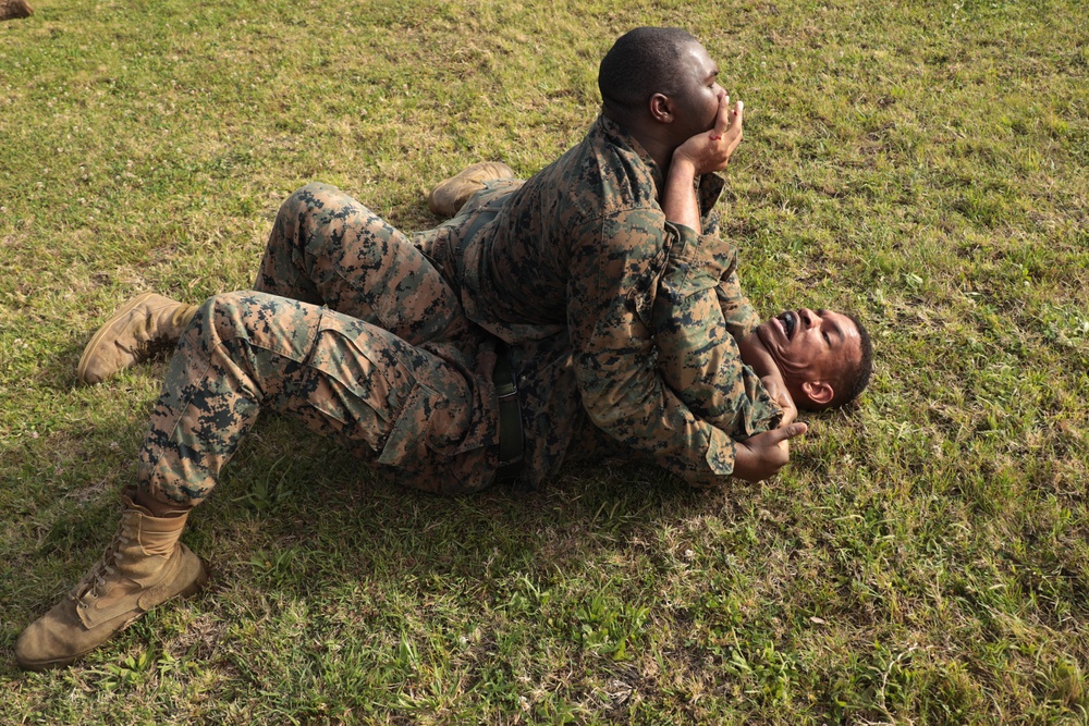 Marines with CLR-37 conduct combat conditioning