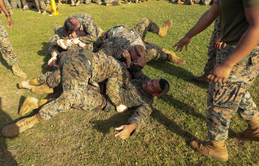 Marines with CLR-37 conduct combat conditioning