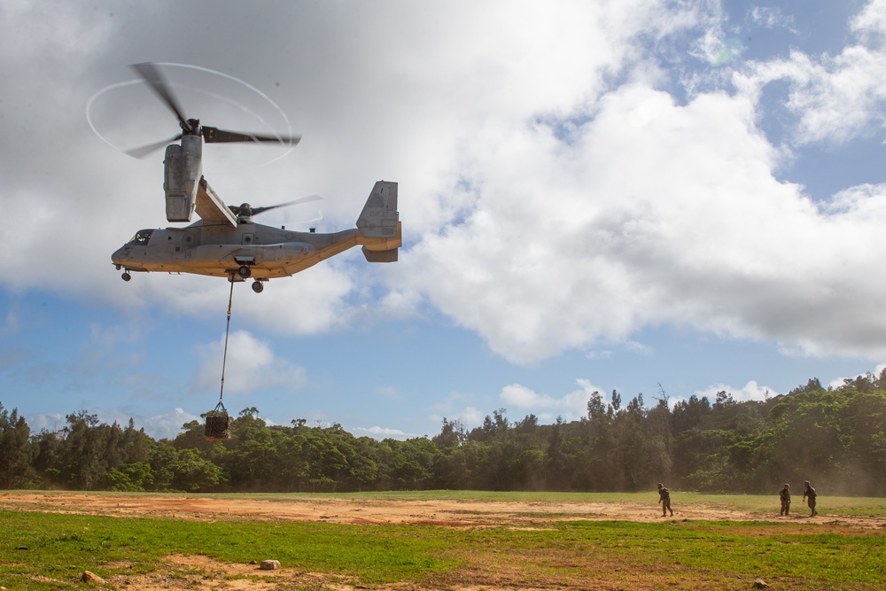 CLB-31 Conducts HST Training