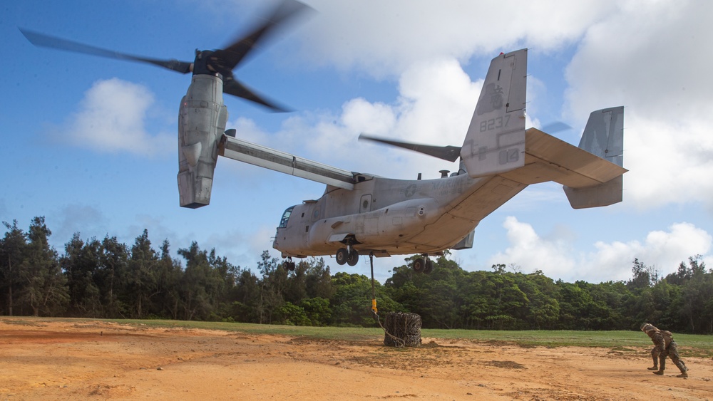 CLB-31 Conducts HST Training