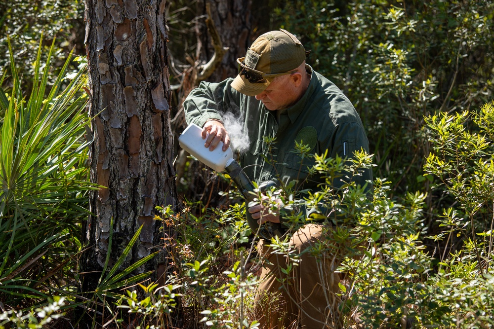 Atlantic Dragon | CLR-37 Marines conduct field craft training