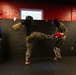 Becoming a Marine Corps Martial Arts Instructor