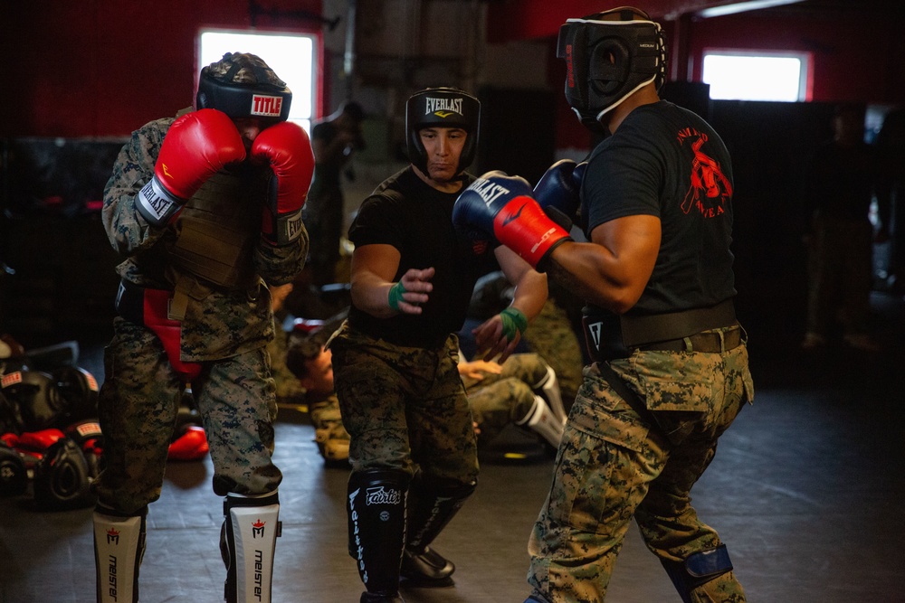 Becoming a Marine Corps Martial Arts Instructor