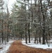 Pine View Campground at Fort McCoy