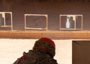 Task Force Sinai Best Squad Competition