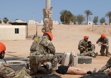 Task Force Sinai Best Squad Competition