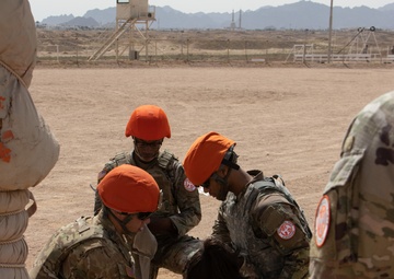 Task Force Sinai Best Squad Competition