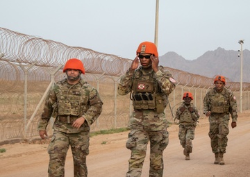 Task Force Sinai Best Squad Competition