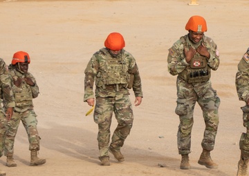 Task Force Sinai Best Squad Competition