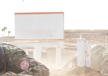 Task Force Sinai Best Squad Competition