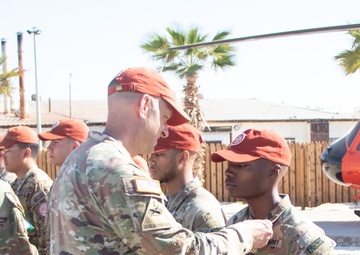 Task Force Sinai Best Squad Competition