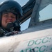 A-10 Thunderbolt II Division Landing