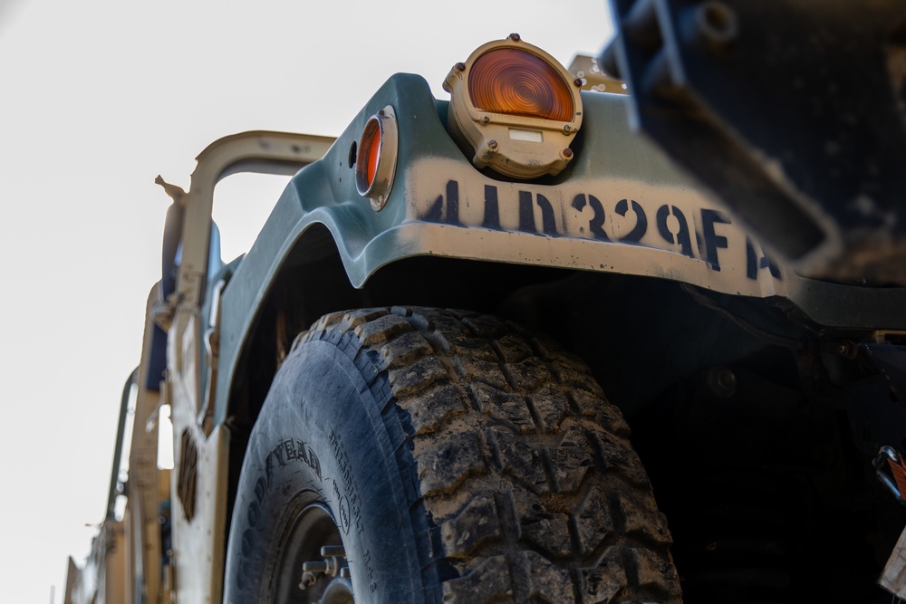 3-29 FA Vehicles Arrive in Torun