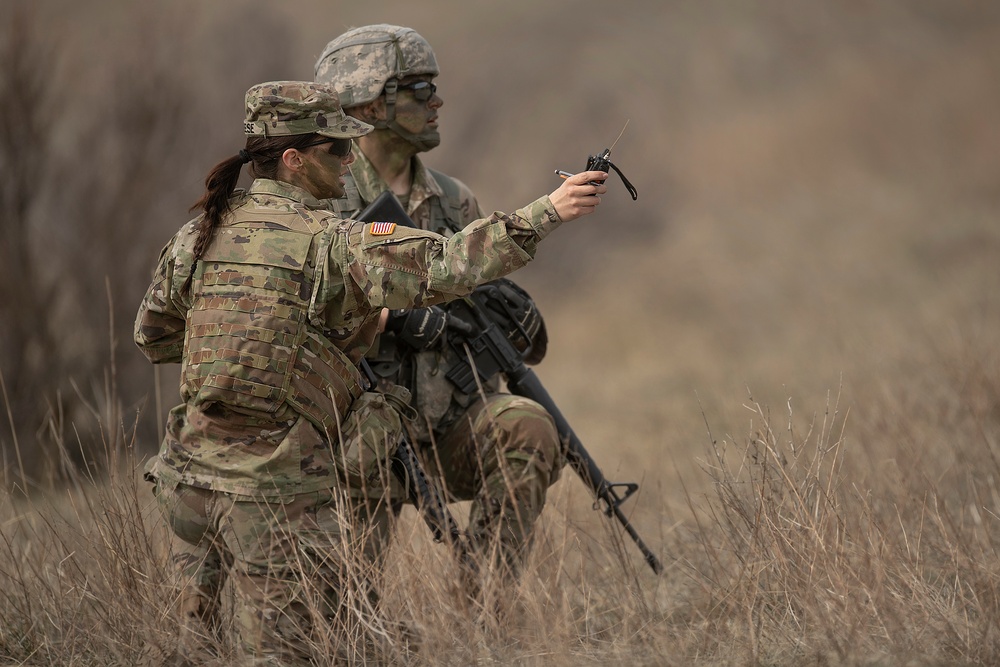 The Bronco Battalion - Midway Point