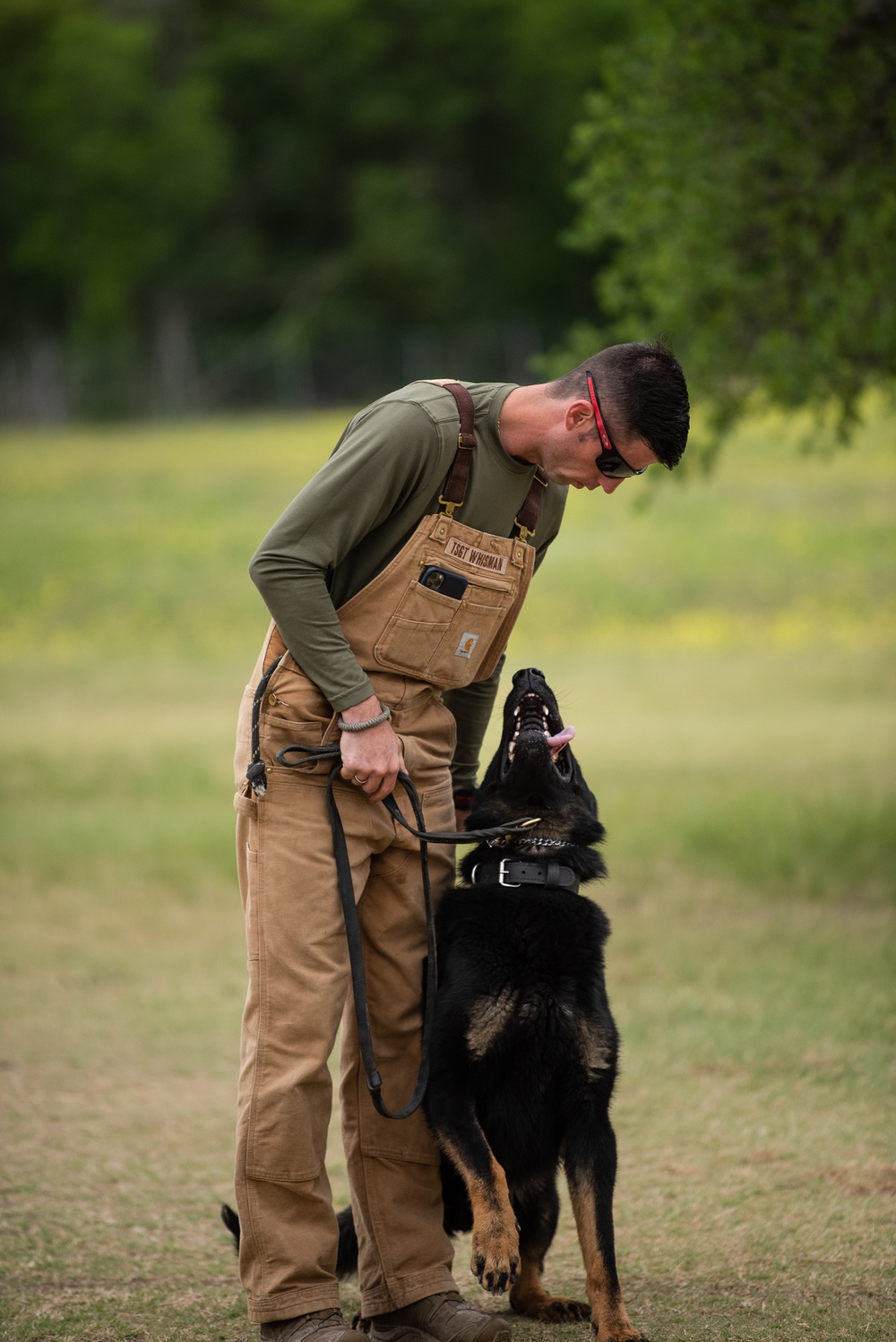 Military Working Dogs with Veteran and Active Handlers