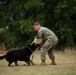 Military Working Dogs with Veteran and Active Handlers