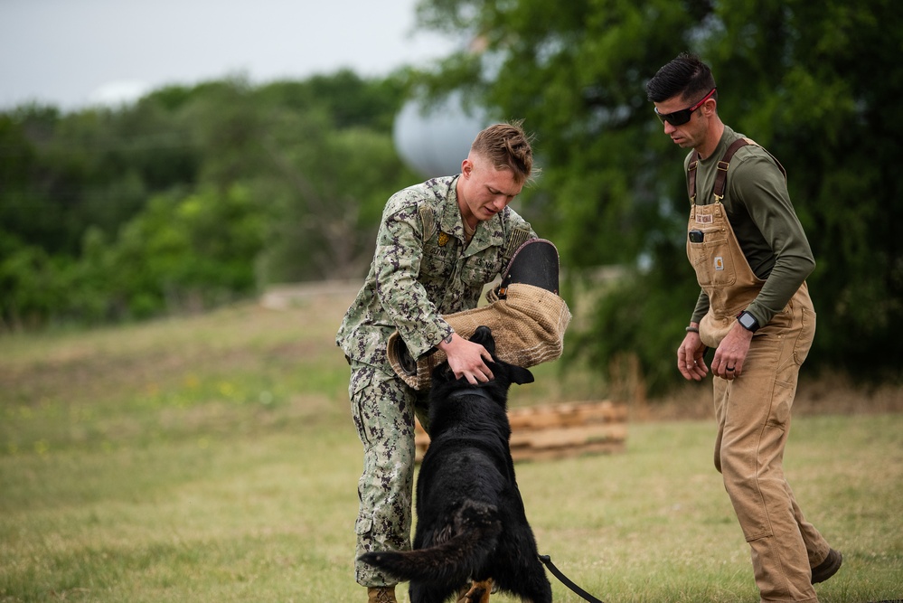 Military Working Dogs with Veteran and Active Handlers