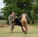 Military Working Dogs with Veteran and Active Handlers