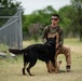 Military Working Dogs with Veteran and Active Handlers