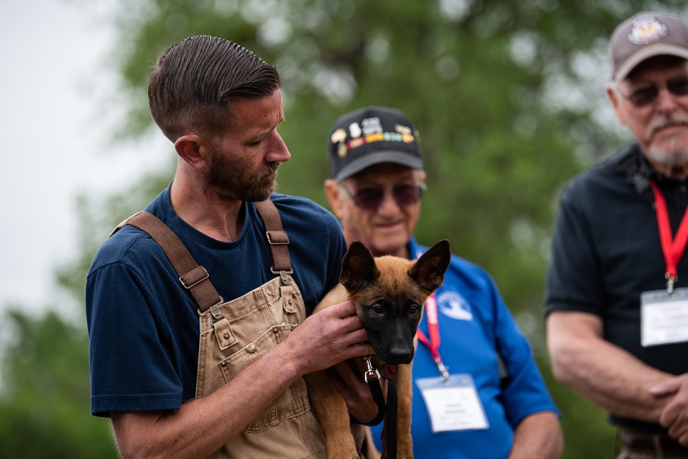 Military Working Dogs with Veteran and Active Handlers