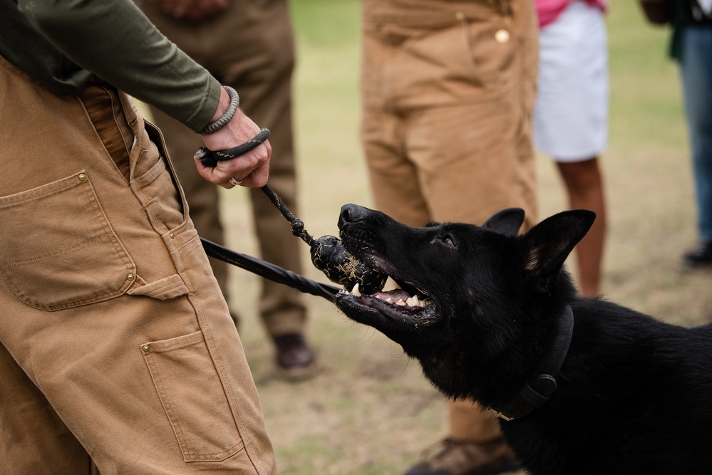 Military Working Dogs with Veteran and Active Handlers