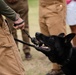 Military Working Dogs with Veteran and Active Handlers