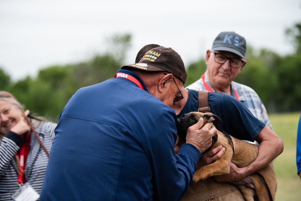 Military Working Dogs with Veteran and Active Handlers