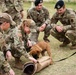 Military Working Dogs with Veteran and Active Handlers