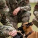 Military Working Dogs with Veteran and Active Handlers