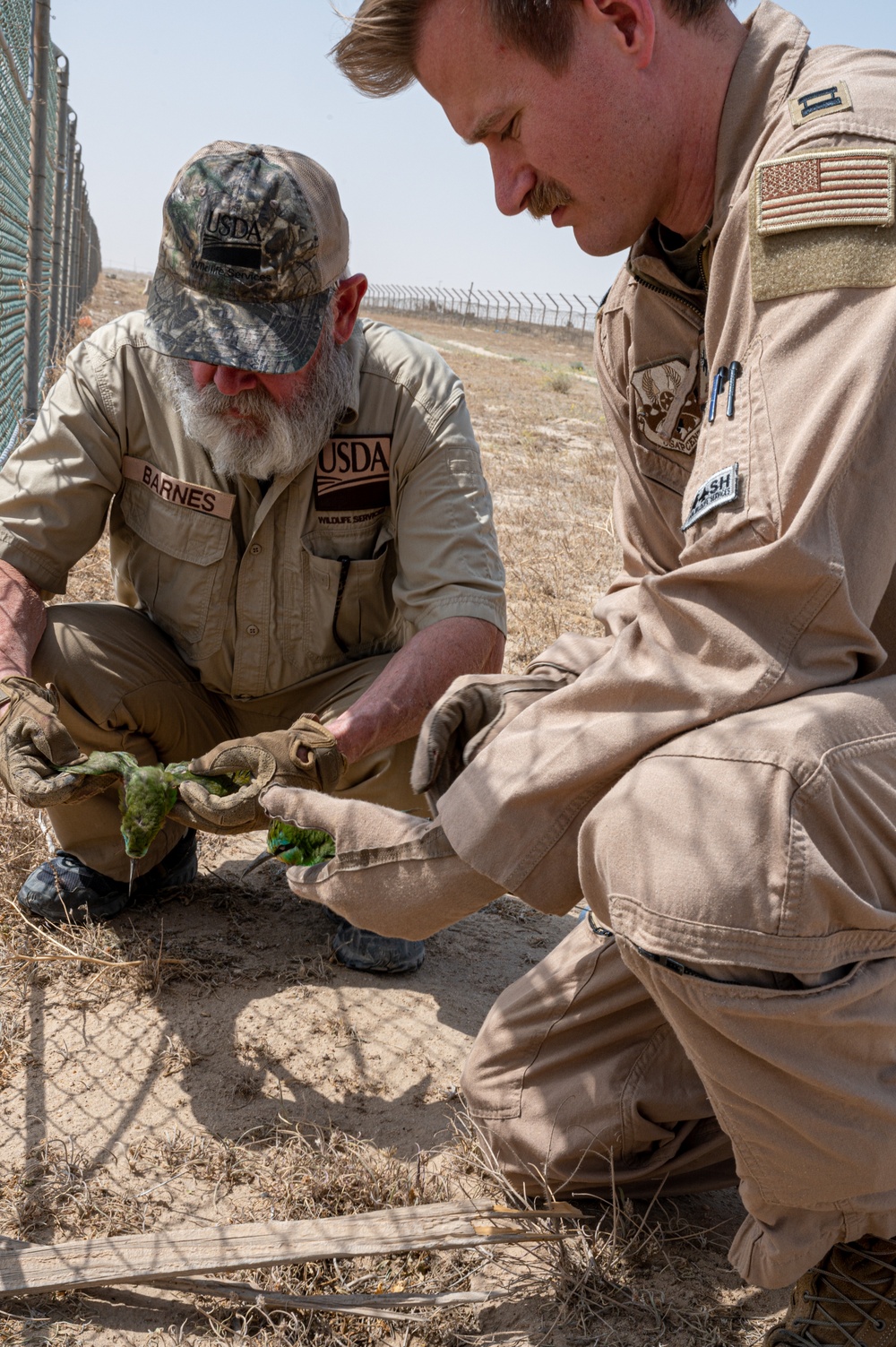 386th Air Expeditionary Wing Safety office and United States Department of Agriculture collaborate to keep flight line safe