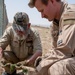 386th Air Expeditionary Wing Safety office and United States Department of Agriculture collaborate to keep flight line safe