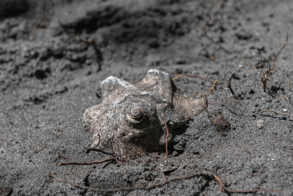 Archeological artifacts uncovered at Cape Canaveral Space Force Station