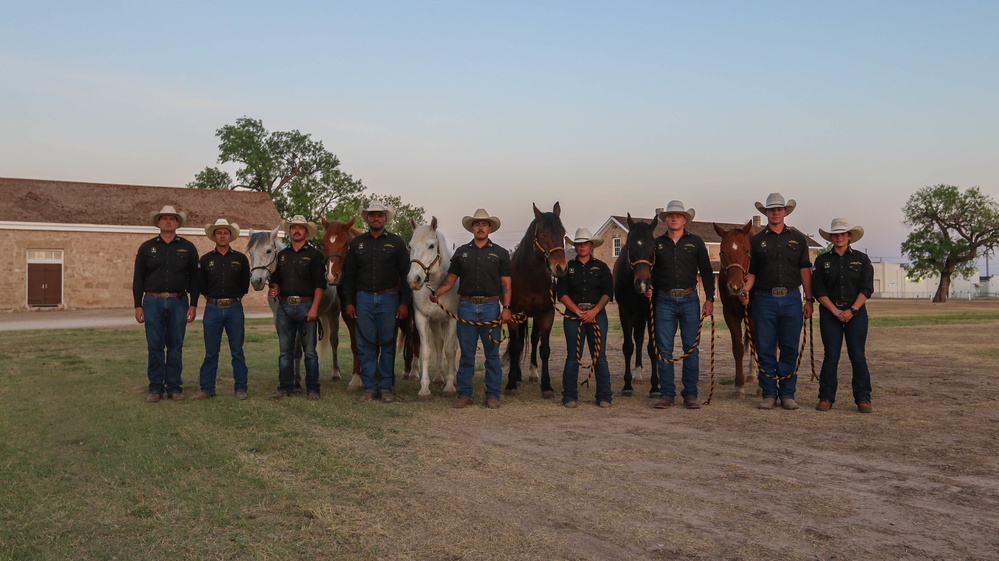 Regional Cavalry Competition 2022