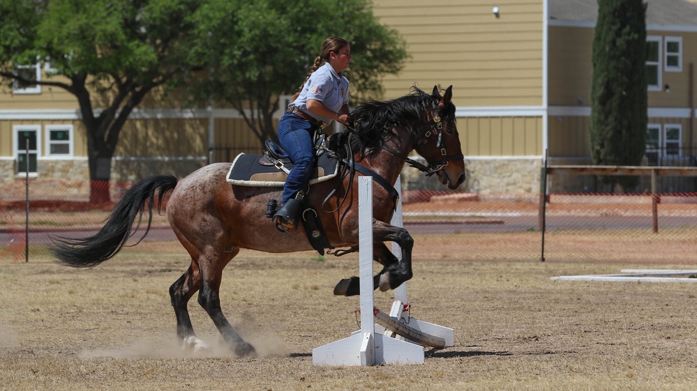 Regional Cavalry Competition 2022