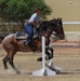 Regional Cavalry Competition 2022