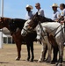 Regional Cavalry Competition 2022